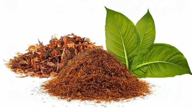 Highquality Tobacco Leaf And Cut Tobacco Images Isolated On Transparent Background