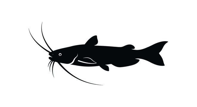 Black catfish silhouette swimming left on white background