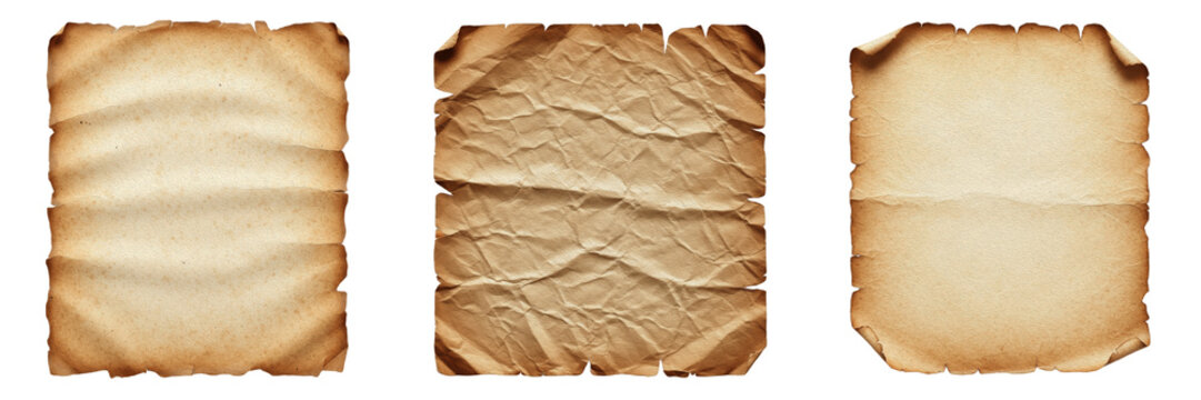 Old vintage parchment paper sheets collection isolated on white background, set of antique weathered scroll textures with burnt edges for historical document design as shown in image_94cf1f.png