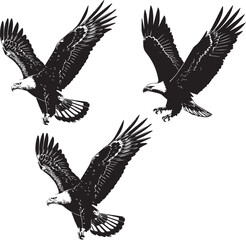 Fototapeta premium Set of bald eagle silhouettes, majestic birds in flight, detailed black and white vector illustrations, symbols of freedom and power.