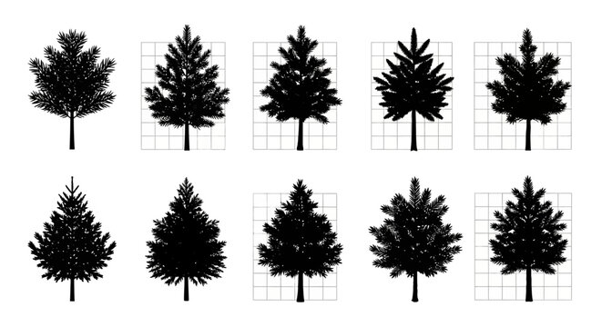Collection of black silhouette pine trees on grid backgrounds for design and landscape projects