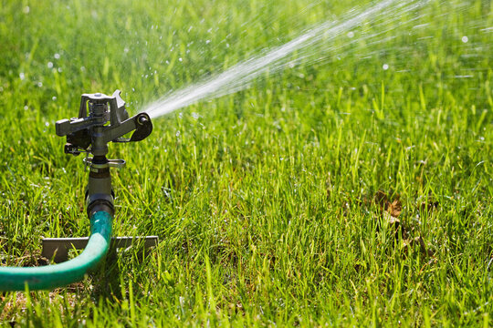Close-up of lawn Sprinkler watering lawn