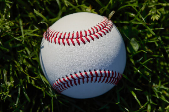 Close-up of baseball in grass