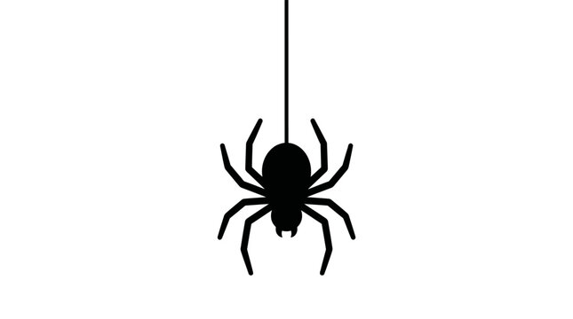 Spider dangling on a silk thread against a white background, Halloween icon