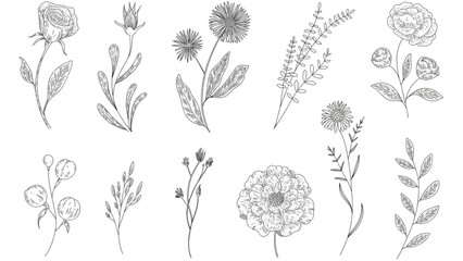 Collection of elegant floral vector icons in soft colors Vector © MDSUJON