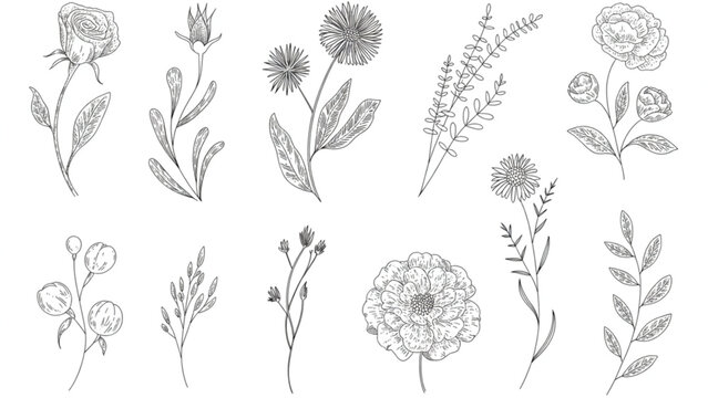 Collection of elegant floral vector icons in soft colors Vector