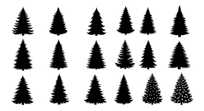 Collection of various pine tree silhouettes on white background