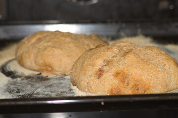Naklejka premium Freshly baked bread from a home oven, filled with meat