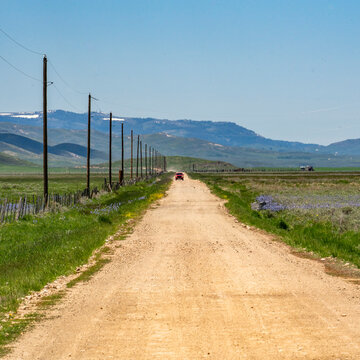 Empty dirt road crossing Camas Prairie