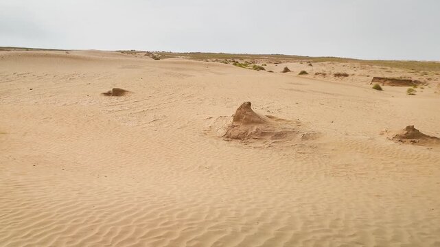 Desert dune near the river aerial view