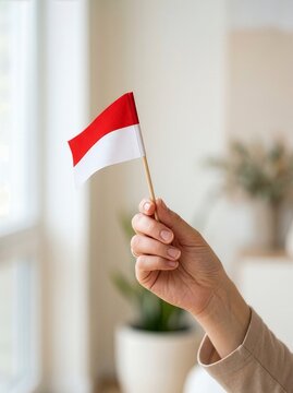 Elegant Red and White Independence Celebration Concept
