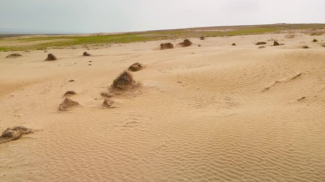 Desert dune near the river aerial view