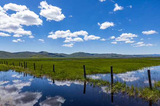 Camas Prairie wetlands in Spring