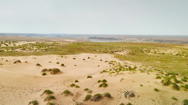 Desert dune near the river aerial view