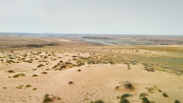 Desert dune near the river aerial view