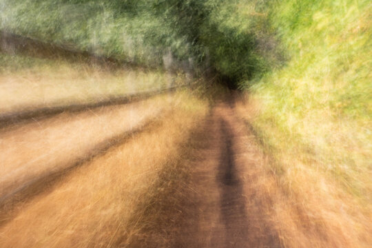 Rail fence along path to forest, motion blurred