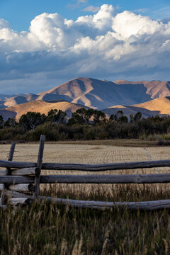 White puffy clouds over mountains and field