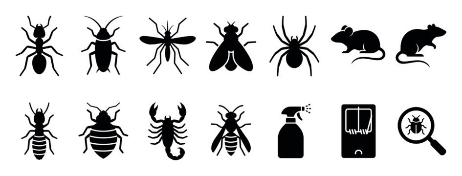 Pest control black solid glyph icons set featuring various insects like ants, cockroaches, and spiders, plus rodents and extermination tools like traps and spray