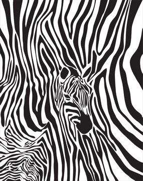 zebra pattern design 