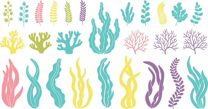 Colorful abstract seaweed and coral collection isolated vector illustration for ocean marine nature and underwater design