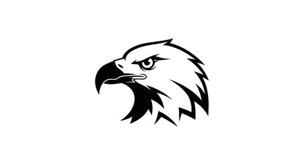 Fototapeta premium Bald Eagle Head Illustration Closeup.