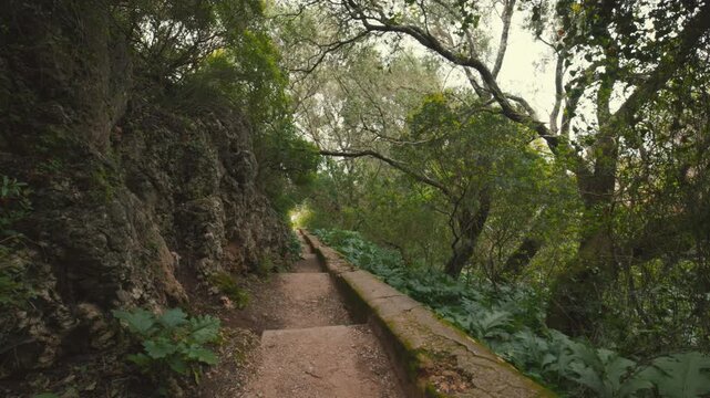 Walking pov on a narrow mountain path in a lush green forest