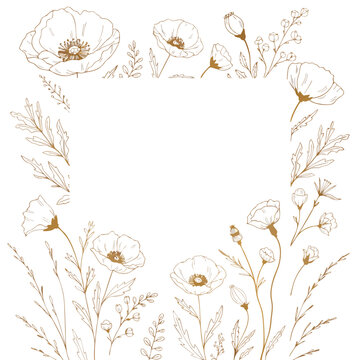Delicate poppy floral border with botanical elements in a minimalist line drawing style Isolated on white background