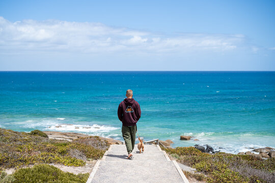 young man and dog walking to the beach
