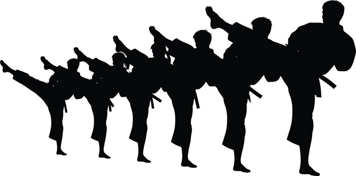 Silhouette of martial arts karate fighters group kicking in a row vector illustration