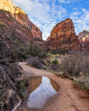 Rain puddle with Angels Landing rock formation in background