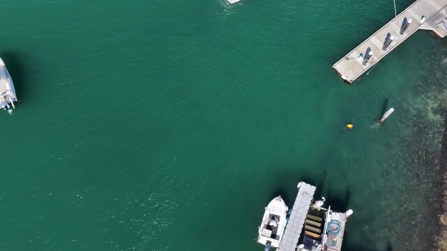 Jetty on Lavender bay Sydney Harbour aerial vertical panorama to Sydney city CBD waterfront.