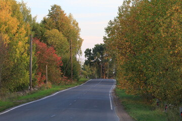Fototapeta premium road in autumn