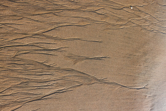 Abstract patterns on beach sand
