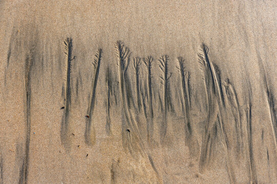 Abstract patterns on beach sand