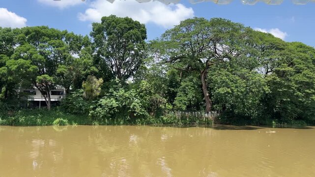 Brown river flowing against blue sky with tall trees