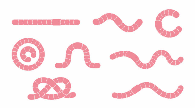 Set of cute pink earthworms in various poses vector illustration featuring straight curved coiled and knotted crawling worms isolated on white background,