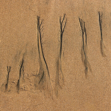 Abstract patterns on beach sand