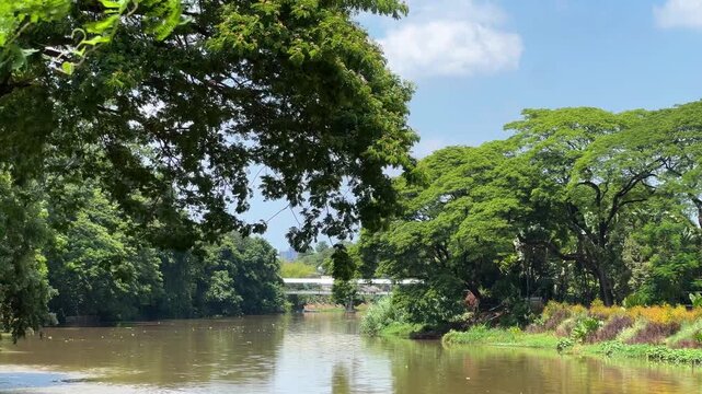 Peaceful and calm flowing river surrounded by lush greenery in Chiang Mai, Thailand