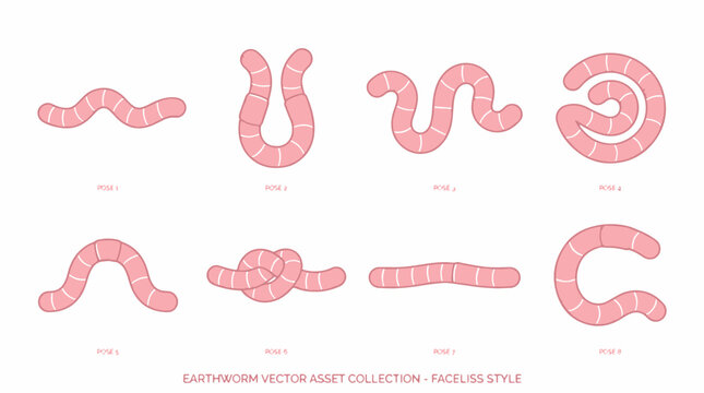 Set of cute pink earthworms vector asset collection in faceless style featuring straight curved coiled and knotted crawling worms isolated on white background,
