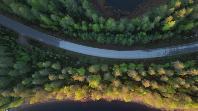 Puumala Saimaa Lake aerial glides forward above sunlit treetops, revealing a lone boat on the shore and a narrow road partly concealed behind the forest, Finland.