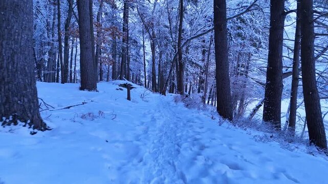 Drone getting inside a frozen forest during winter, extreme temperatures next to an icy lake, Harold Parker State Forest, Massachusetts
