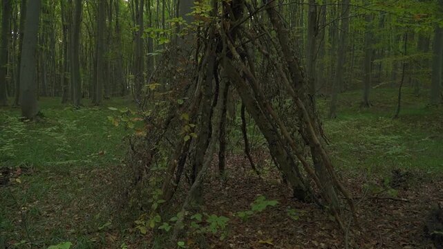 Front view of a rustic wooden branch teepee shelter in a dense green forest portraying for outdoor survivalism and bushcraft camp