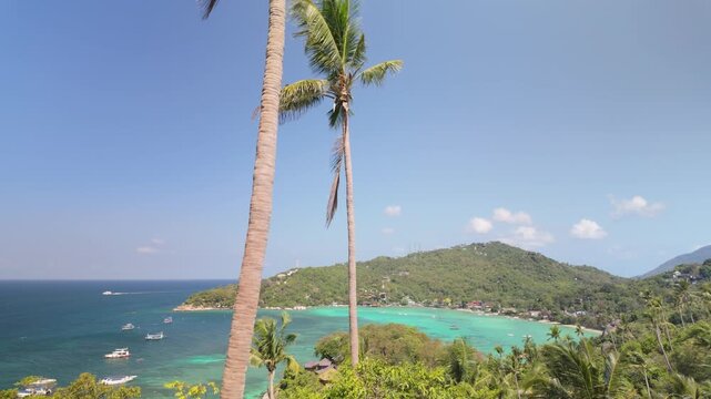 Tall Palm Trees In Koh Tao Island From John-Suwan Viewpoint In Thailand. Aerial Wide Shot
