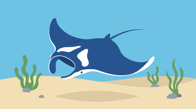 Manta Ray Gliding Over Sandy Ocean Floor