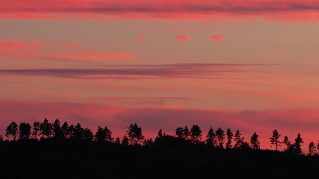Timelapse red cloud line at twilight driving over silhouettes of trees