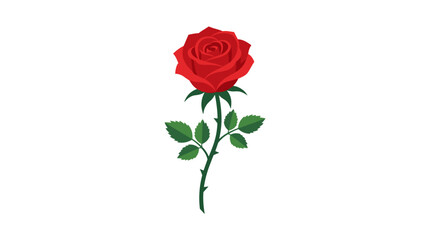 Fototapeta premium Single Red Rose Vector Illustration with Green Leaves and Stem