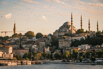 Naklejka premium Warm sunset view of the Yeni Cami New Mosque grand domes and minarets with seagulls flying in the sky, historic Eminonu district and traditional urban architecture in Istanbul, Turkey