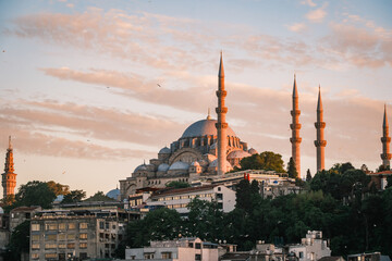 Naklejka premium Yeni Cami New Mosque grand domes and minarets with seagulls flying in the sky, historic Eminonu district and traditional urban architecture in Istanbul, Turkey.