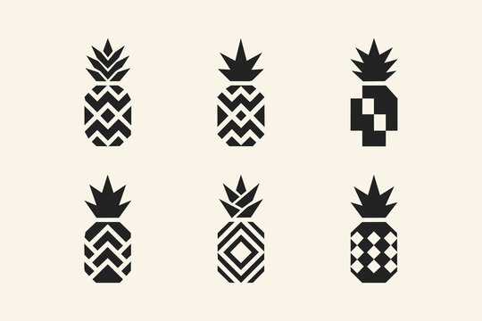Minimalist collection of six geometric pineapple icons with abstract patterns on a light background