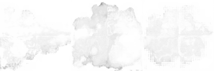 Fototapete Aquarell Set of three abstract watercolor ink wash stains, soft gray brush blotches isolated on transparent background, artistic ink splatter elements for creative overlays, minimalist design texture and organ  © Suarezo